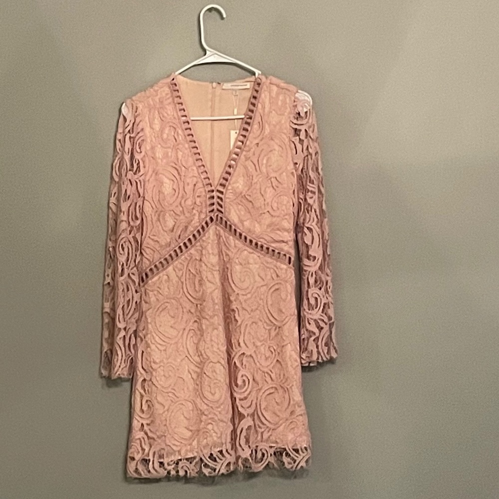 NWT Blush dress